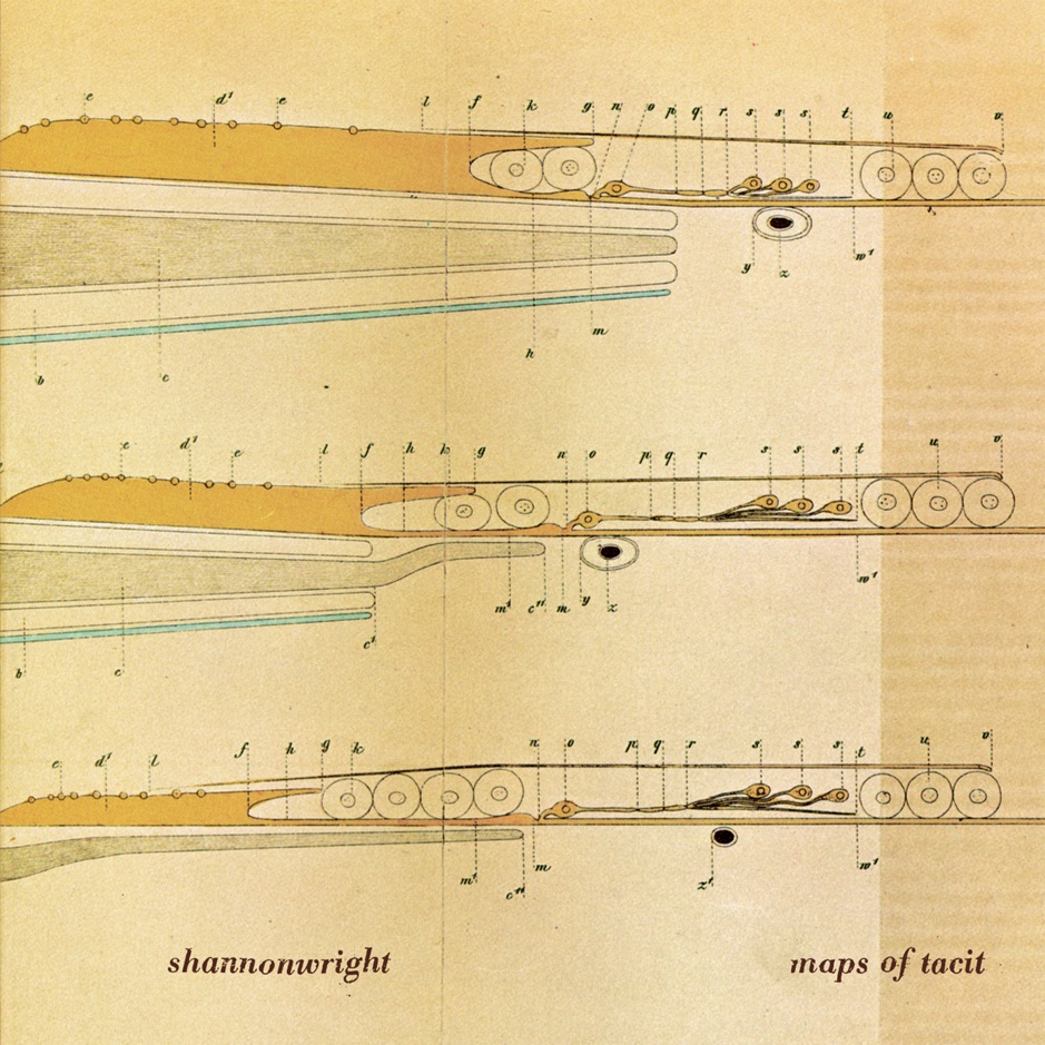 Shannon Wright - Maps of Tacit